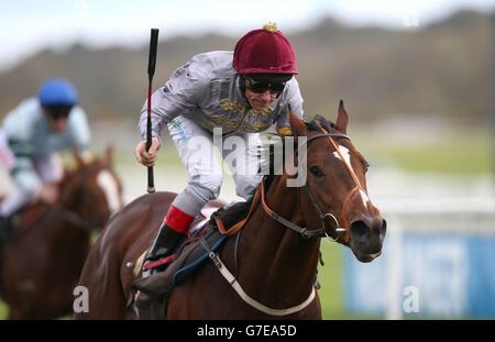 Horse Racing - Worthington delle Forze Armate Raceday - ippodromo di Newbury Foto Stock