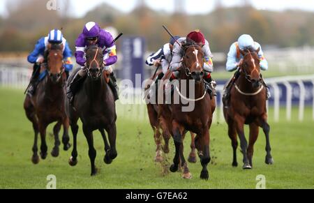 Horse Racing - Worthington delle Forze Armate Raceday - ippodromo di Newbury Foto Stock