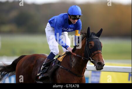 Horse Racing - Worthington delle Forze Armate Raceday - ippodromo di Newbury Foto Stock