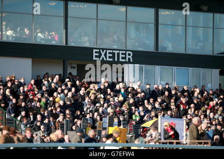 Corse ippiche - Exeter. Una vista generale dei corridori nelle tribune Foto Stock