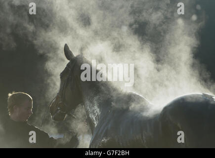 Steam si alza da un cavallo dopo l'ostacolo di Bradley Partnership handicap all'ippodromo di Kempton, Surrey. Foto Stock