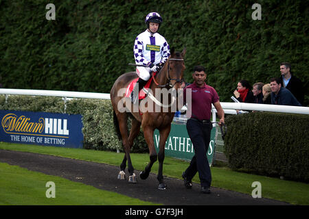 Corse ippiche - Ippodromo di Kempton. Jockey Noel Fehily su Sands Cove prima del William Hill - Offerte mobili esclusive handicap Chase Foto Stock