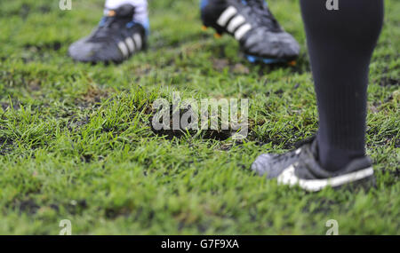 L'arbitro Tim Robinson controlla il campo prima della prima partita della fa Cup al Woodspring Stadium di Weston-Super-Mare. Foto Stock