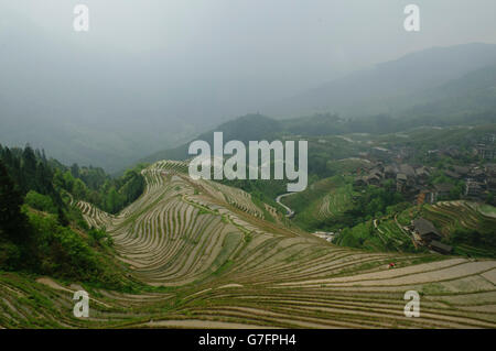 Bellissime terrazze di riso Jinkeng in Longji, Guangxi Regione autonoma, Cina Foto Stock