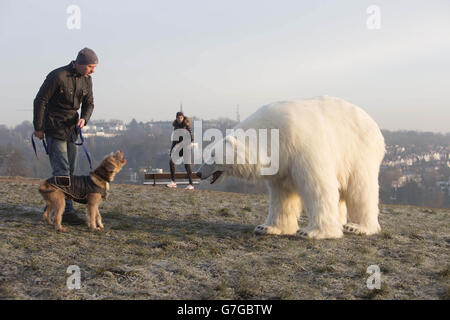 Un orso polare animatronico ruggì Hampstead Heath nel nord-ovest di Londra per segnare il lancio di Fortitude, il nuovo dramma di Sky Atlantic con Stanley Tucci, Michael Gambon e Christopher Ecclestone, che si presenta giovedì 29 gennaio alle 21:00. Foto Stock