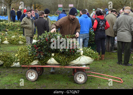 Un acquirente carica il suo carrello durante l'asta Tenbury Mistletoe and Holly al Burford House Garden Store a Tenbury Wells, Worcestershire. Foto Stock