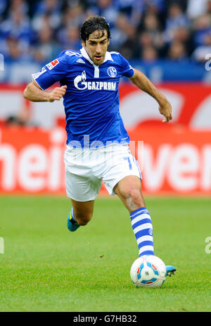 Raul Gonzales della Bundesliga football club FC Schalke 04 durante il match tra Schalke 04 3, TSG 1899 Hoffenheim 1, Veltins Arena Foto Stock