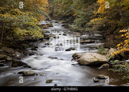 Fiume Bode, Bodetal o gola di Bode Riserva Naturale, Thale, Harz, Sassonia-Anhalt, PublicGround Foto Stock
