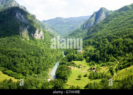 Fiume Tara canyon (noto anche come il fiume Tara Gorge) Montenegro. Foto Stock