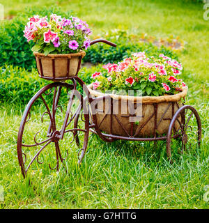 Decorativo modello Vintage vecchia bicicletta dotata cestello in giardino di fiori Foto Stock