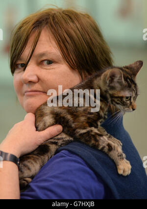 Cat Re-Homer Ros Davies, presso Battersea Dogs and Cats Home a Londra. Foto Stock