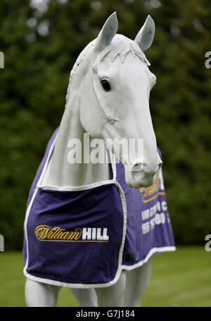 Horse Racing - 2014 William Hill Festival invernale - Giorno 1 - Kempton Park Foto Stock