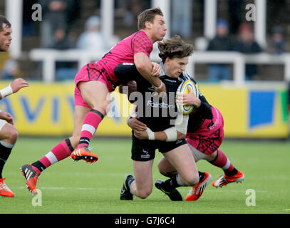 Rugby - Aviva Premiership Rugby - Newcastle Falcons v Londra gallese - Kingston Park Foto Stock