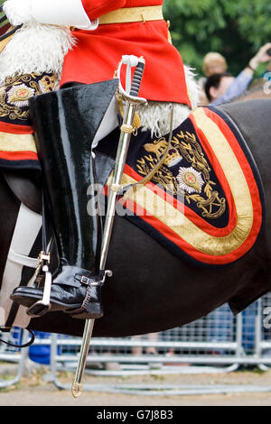 La Queens Life Guard, elettrodomestico Cavalleria Londra Foto Stock