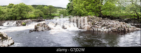 Il Fiume Tees tra alta e bassa forza, Teesdale, County Durham, England, Regno Unito Foto Stock