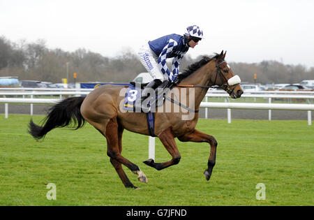 Horse Racing - 2014 William Hill Festival invernale - Giorno 1 - Kempton Park Foto Stock