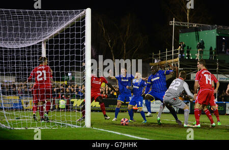 Calcio - FA Cup - Terzo Round - AFC Wimbledon V Liverpool - Il Cherry Red Records Stadium Foto Stock