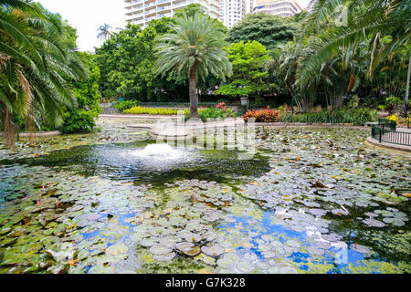 Città Giardino botanico vicino a Brisbane City Centre, Australia Foto Stock