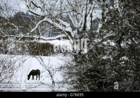 Inverno meteo 14 Gennaio 2015 Foto Stock