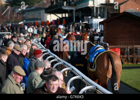 I Racegoers guardano i corridori e i corridori nell'anello della parata Prima della Betfred Goals Galore Novices 'handicap hurdle Foto Stock