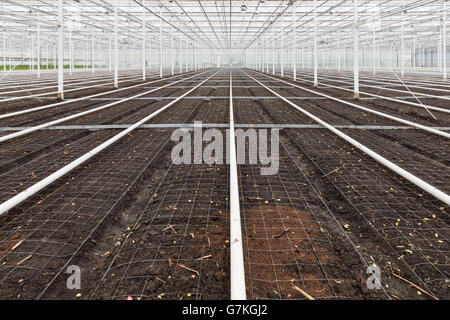 Serra vuota con il terreno preparato per la coltivazione di nuovi impianti Foto Stock