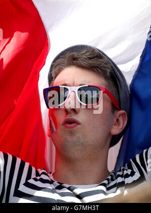 Un fan francese mostra il suo sostegno nelle tribune prima del round del 16 allo Stade de Lyon, Lione. PREMERE ASSOCIAZIONE foto. Data immagine: Domenica 26 giugno 2016. Vedi PA storia CALCIO Francia. Il credito fotografico dovrebbe essere: Nick Potts/PA Wire. Foto Stock