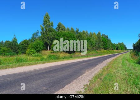 Autostrada vuota attraverso gli alberi e arbusti ed erba Foto Stock