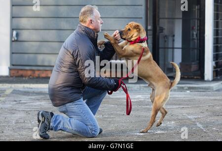 Kai il cane con il suo nuovo proprietario Ian Russell presso un ufficio scozzese SPCA a Glasgow, dopo essere stato abbandonato in una stazione ferroviaria con una valigia piena dei suoi beni. Foto Stock