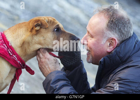 Cane abbandonato alla stazione Foto Stock