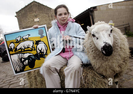 Ella Robinson, 11 anni, da Woodford con pecore all'Hackney City Farm a East London. Foto Stock