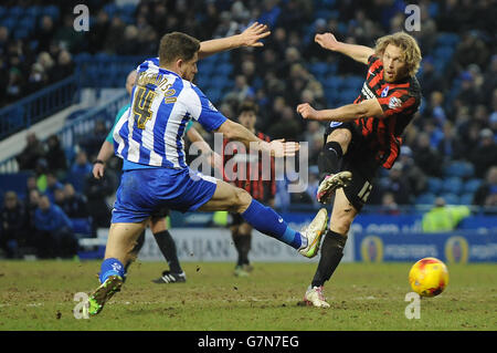 Calcio - Sky scommessa League Championship - Sheffield Mercoledì v Brighton & Hove Albion - Hillsborough Foto Stock