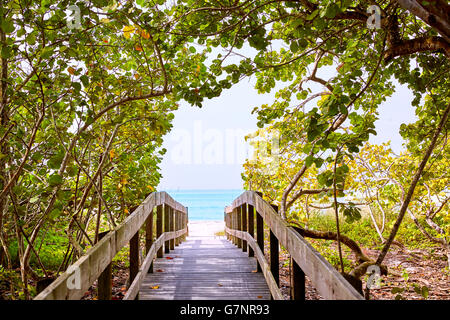 Florida bonita Bay spiaggia a piedi nudi a piedi in modo USA Foto Stock