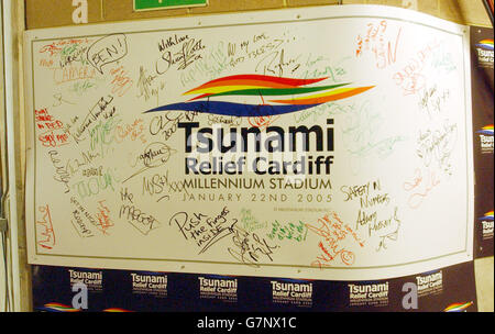 Concerto di solidarietà per lo Tsunami - Millennium Stadium Foto Stock