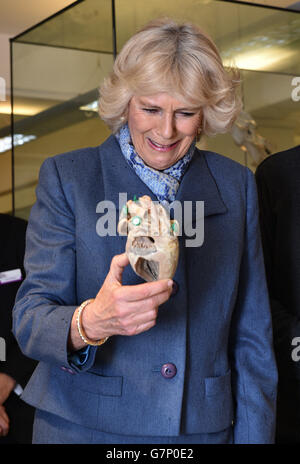 La duchessa di Cornovaglia visita a Beaumont Sainsbury Animal Hospital Foto Stock