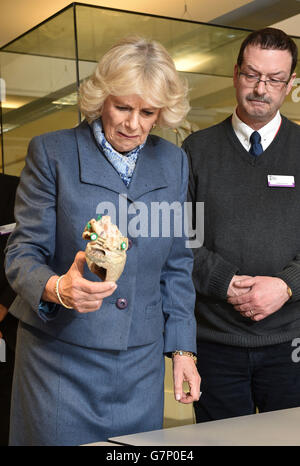 La duchessa di Cornovaglia visita a Beaumont Sainsbury Animal Hospital Foto Stock