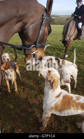 I sostenitori di suoneria perso la loro alta Corte battaglia per rovesciare il divieto di caccia con i cani Foto Stock