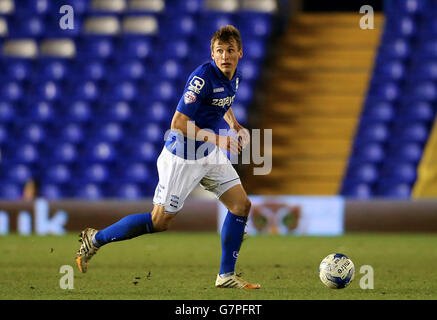 Calcio - Campionato Sky Bet - Birmingham City v Blackpool - St Andrew's. Robert Tesche della città di Birmingham Foto Stock