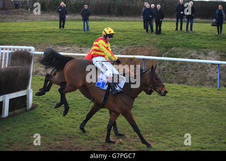 Horse Racing - Leicester Racecourse Foto Stock