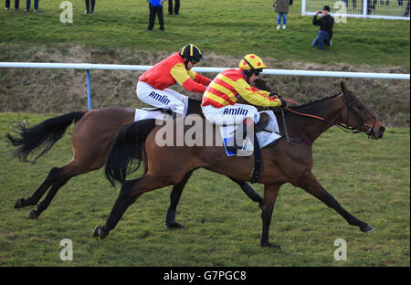 Cloud Creeper guidato da jockey Richard Johnson salta l'ultimo a vincere battendo Noble Legend guidato da jockey Andrew Thornton nel Nicolo & Fielding Mechanical Services Ltd Steeple Chase presso Leicester Racecourse, Leicester. Foto Stock