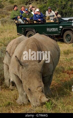 I cricketers inglesi (da sinistra) Kevin Pietersen, Darren Gough, il capitano Michael Vaughan, Gareth Batty, Ashley Giles, Geraint Jones e Marcus Trescosse con tre rinoceronti bianchi durante un viaggio alla Shamwari Game Reserve vicino a Port Elizabeth. Foto Stock