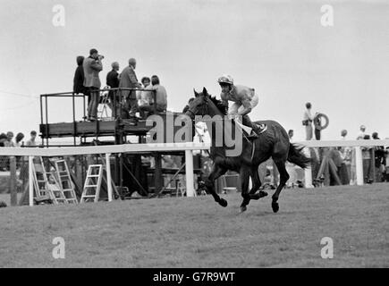 Caerleon (USA), un Bay Colt di tre anni guidato da Jockey Pat Eddery. Di proprietà di Robert Sangster l'animale è addestrato da Vincent o'Brien in Irlanda. Allevatori sono Claiborne Farm, Stati Uniti. Foto Stock