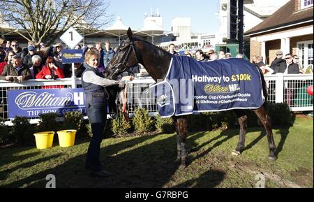 Horse Racing - William Hill Imperial Cup giorno - Sandown Racecourse Foto Stock