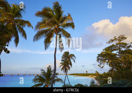 Florida Keys spiaggia di Bahia Honda State Park NEGLI STATI UNITI Foto Stock