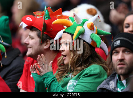 Un fan irlandese negli stand durante la partita RBS 6 Nations al Millennium Stadium di Cardiff. PREMERE ASSOCIAZIONE foto. Data immagine: Sabato 14 marzo 2015. Vedi PA Story RUGBYU Wales. Il credito fotografico dovrebbe essere: David Davies/PA Wire. RESTRIZIONI: L'uso è soggetto a limitazioni. Nessun uso commerciale. Nessun utilizzo in libri o stampe senza previa autorizzazione. Foto Stock