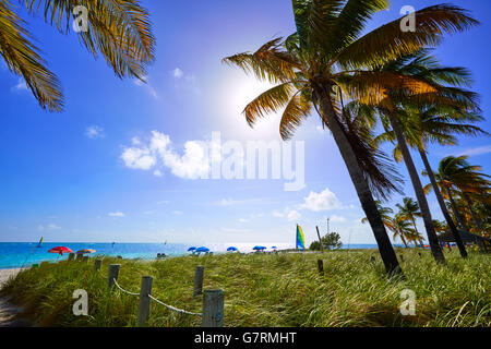 Key West Florida Smathers beach palme NEGLI STATI UNITI Foto Stock