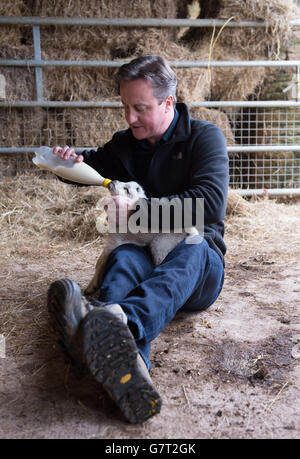 Il primo ministro David Cameron aiuta a dare da mangiare ad un agnello neonato presso la Dean Lane Farm vicino alla sua casa in Oxfordshire, prima frequentando un servizio di Pasqua domenicale con sua moglie Samantha a Oxford. Foto Stock