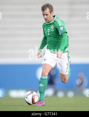 Soccer - UEFA Euro 2016 - Qualifiche - Gruppo F - Irlanda del Nord v Finlandia - Windsor Park Foto Stock