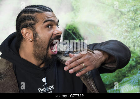 Io sono un Celebrity Get Me fuori di qui! Maze lancio - Chertsey Foto Stock