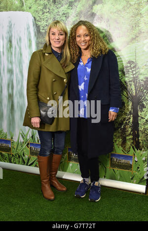 Io sono un Celebrity Get Me fuori di qui! Maze lancio - Chertsey Foto Stock