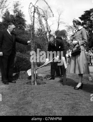 Guardato da Lady Eden, il primo ministro Sir Anthony Eden pianta un albero a Jephson Gardens di fronte alle Pump Rooms a Leamington Spa. Sir Anthony, che dal 1923 rappresenta Leamington e Warwick in Parlamento, ha effettuato la sua prima visita nella circoscrizione elettorale da quando è diventato primo ministro e centinaia di persone si sono riunite per rendere omaggio alla sua nomina. Foto Stock